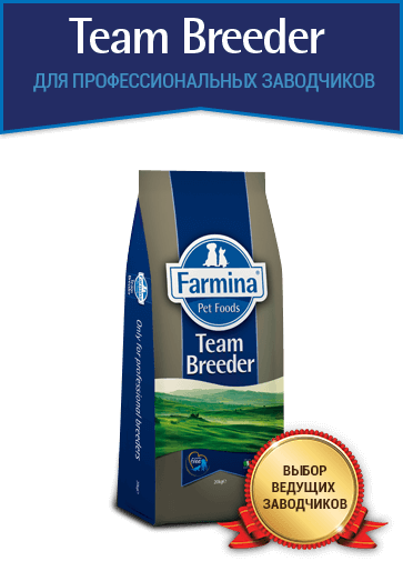 Farmina foods. Фармина корм для собак 20кг. Фармина для заводчиков собак 20кг. Фармина синий мешок для собак. Корма производитель Фармина.